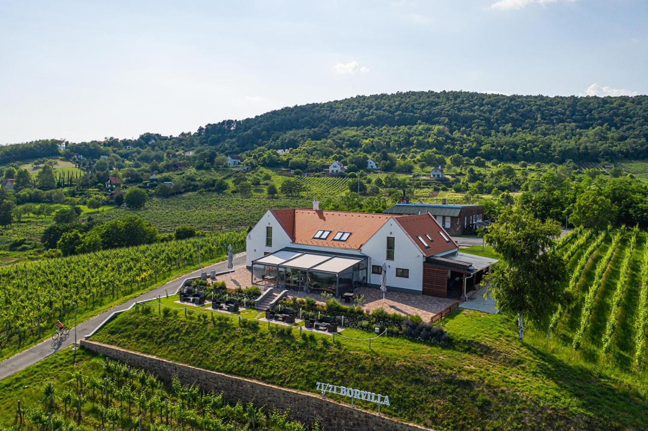 Отель Vitis Kuria 7171 Balatonrendes Экстерьер фото